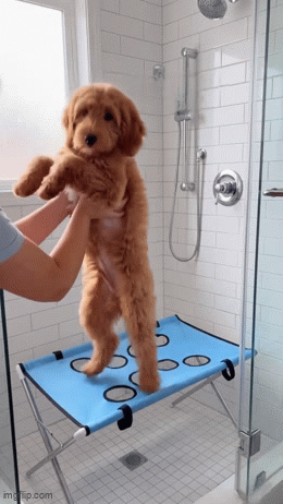 wyp-gif-2
