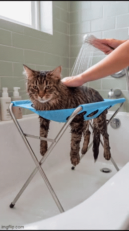 wyp-proof-gif